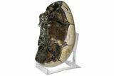 Bargain, Septarian Dragon Egg Geode - Black Crystals #123051-2